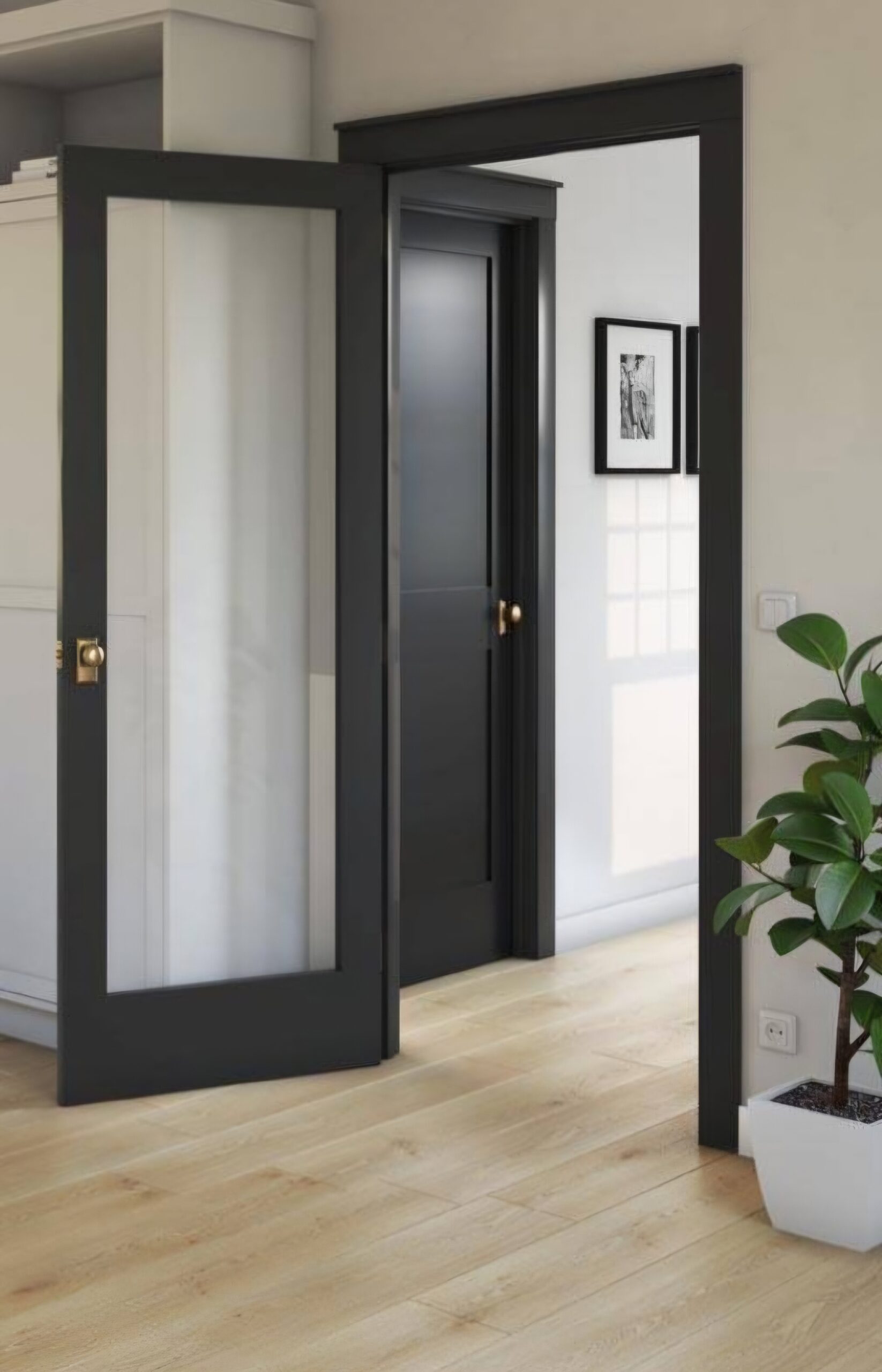 A room with light wood flooring, a black-framed glass door, a black solid door, a framed picture on the wall, and a potted plant in the corner.