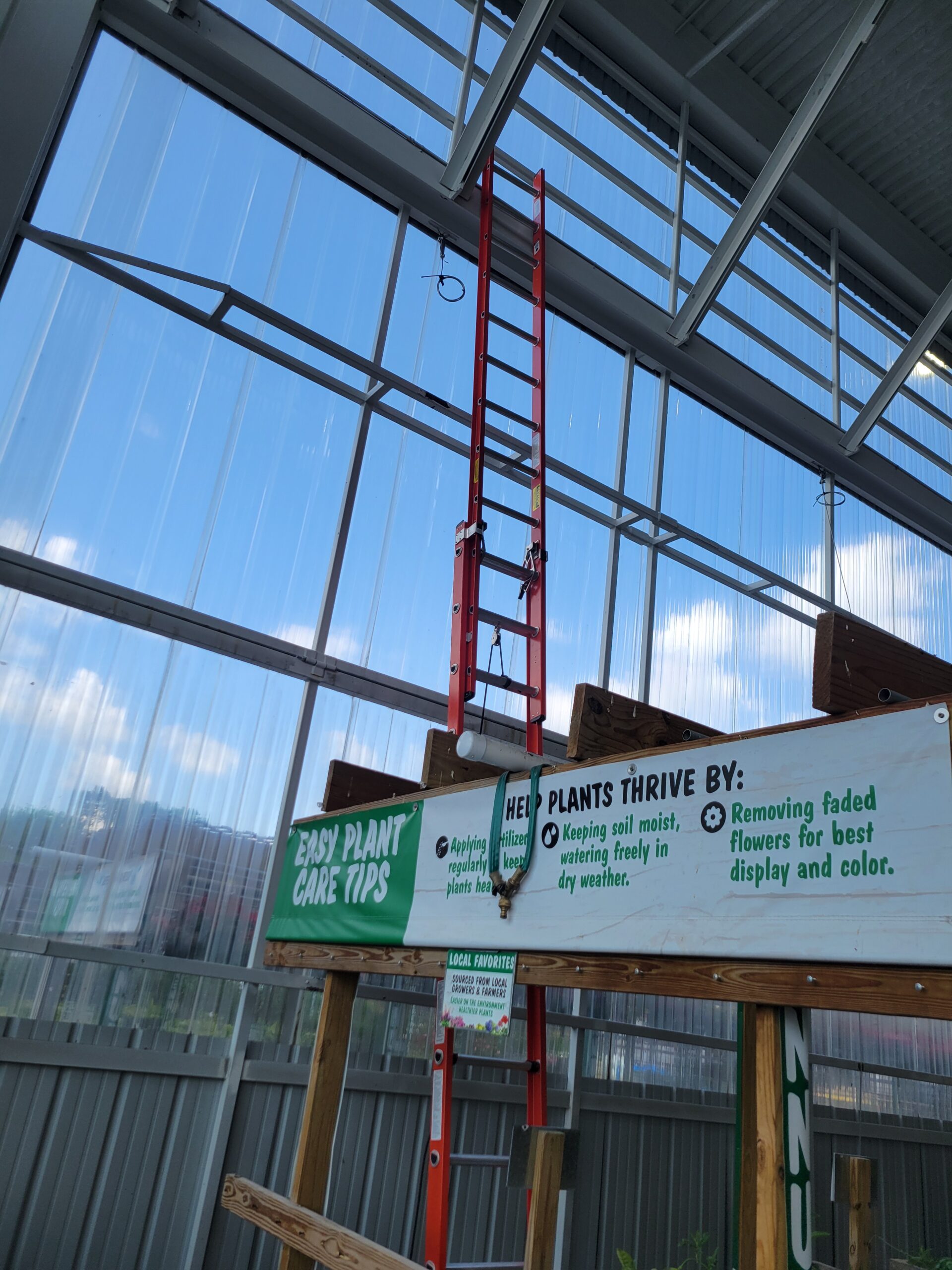 A tall red ladder is propped upright inside a greenhouse next to informational signs about plant care. Sunlight shines through the glass roof and walls.